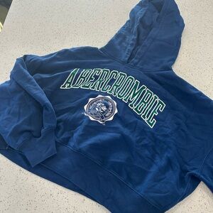 Abercrombie Blue Hoodie